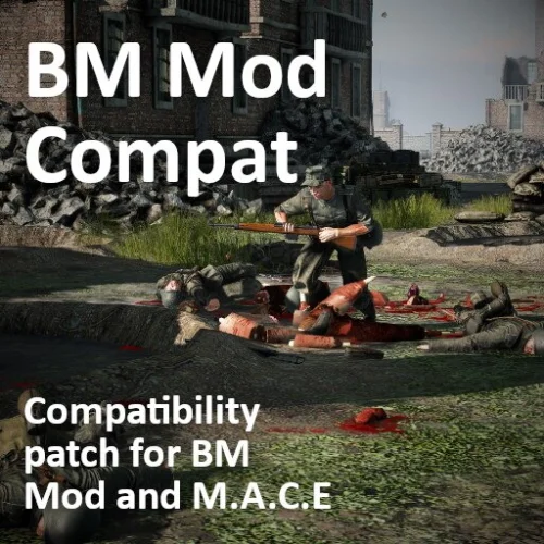 BM Mod - MACE Compat Patch v14.01.26