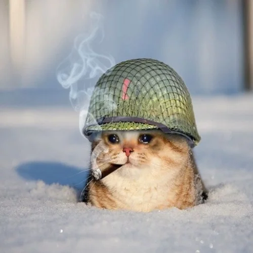 Free For All - GOH Mappack v28.01.26